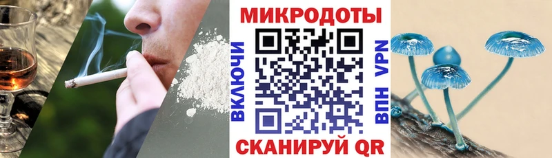 Купить закладки  Темрюк  Псилоцибиновые грибы Magic Shrooms 
